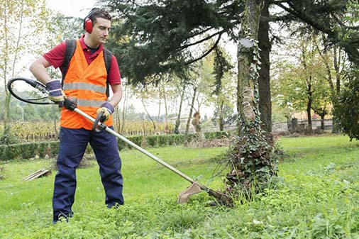 Brush Cutting