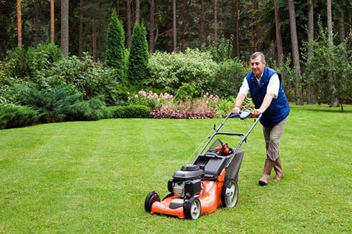 Lawn Service