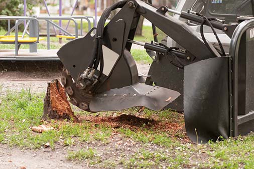 Stump Grinding